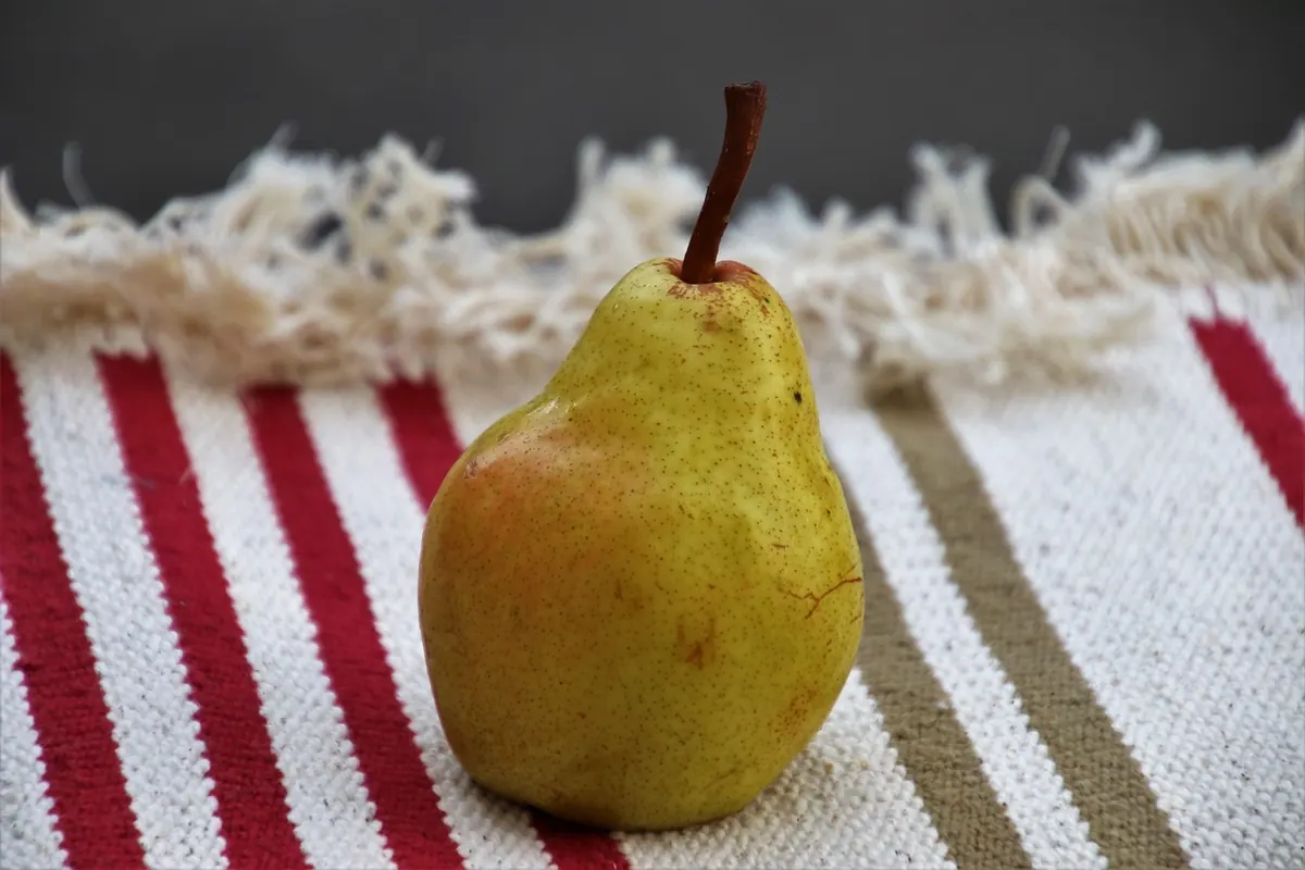 Ripening British Pears: A Month-by-Month Guide for Autumn